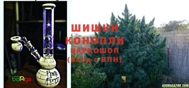 Конопля Ganja  shop какой сайт  Белозерск 